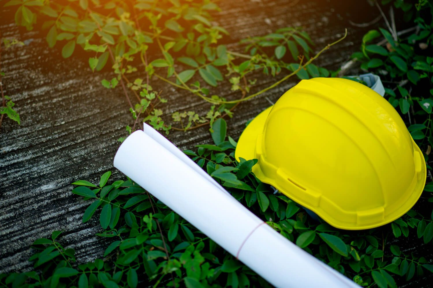 Co to jest reguła DNSH